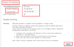 A screenshot showing the Public IP Section and the the Enable box.